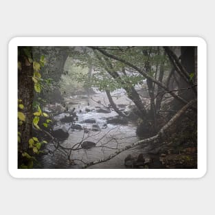 Foggy Creek Sticker